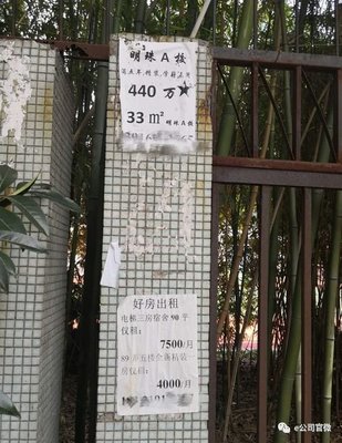 上海房地產開發商罕見促銷,買房送寶馬,網紅盤不用搶